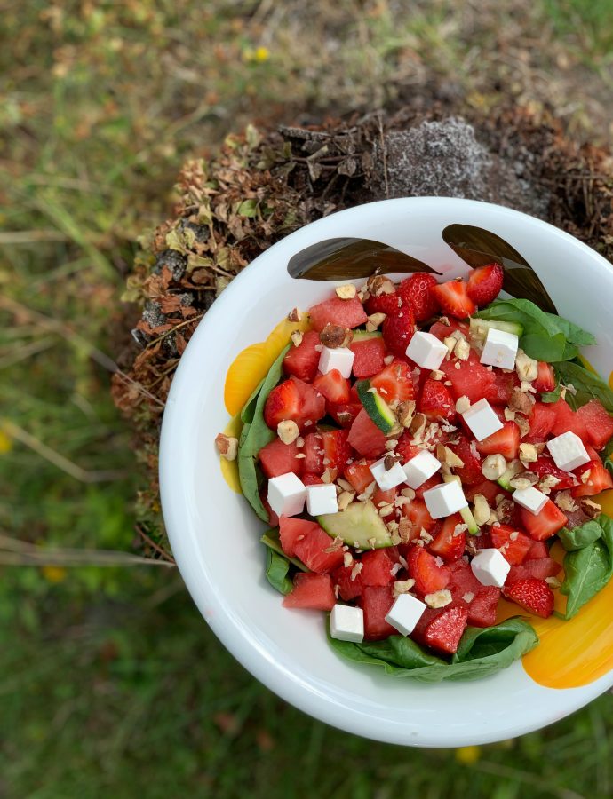 Sommersalat med jordbær og vandmelon